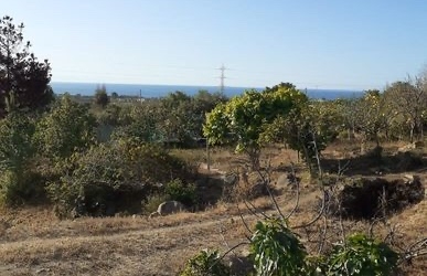 PARCELA GUANAQUEROS